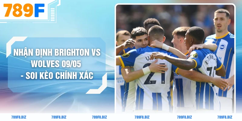 Nhận Định Brighton Vs Wolves 09/05 - Soi Kèo Chính Xác