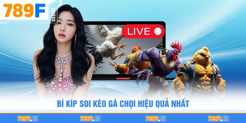 Bí kíp soi kèo gà chọi hiệu quả nhất